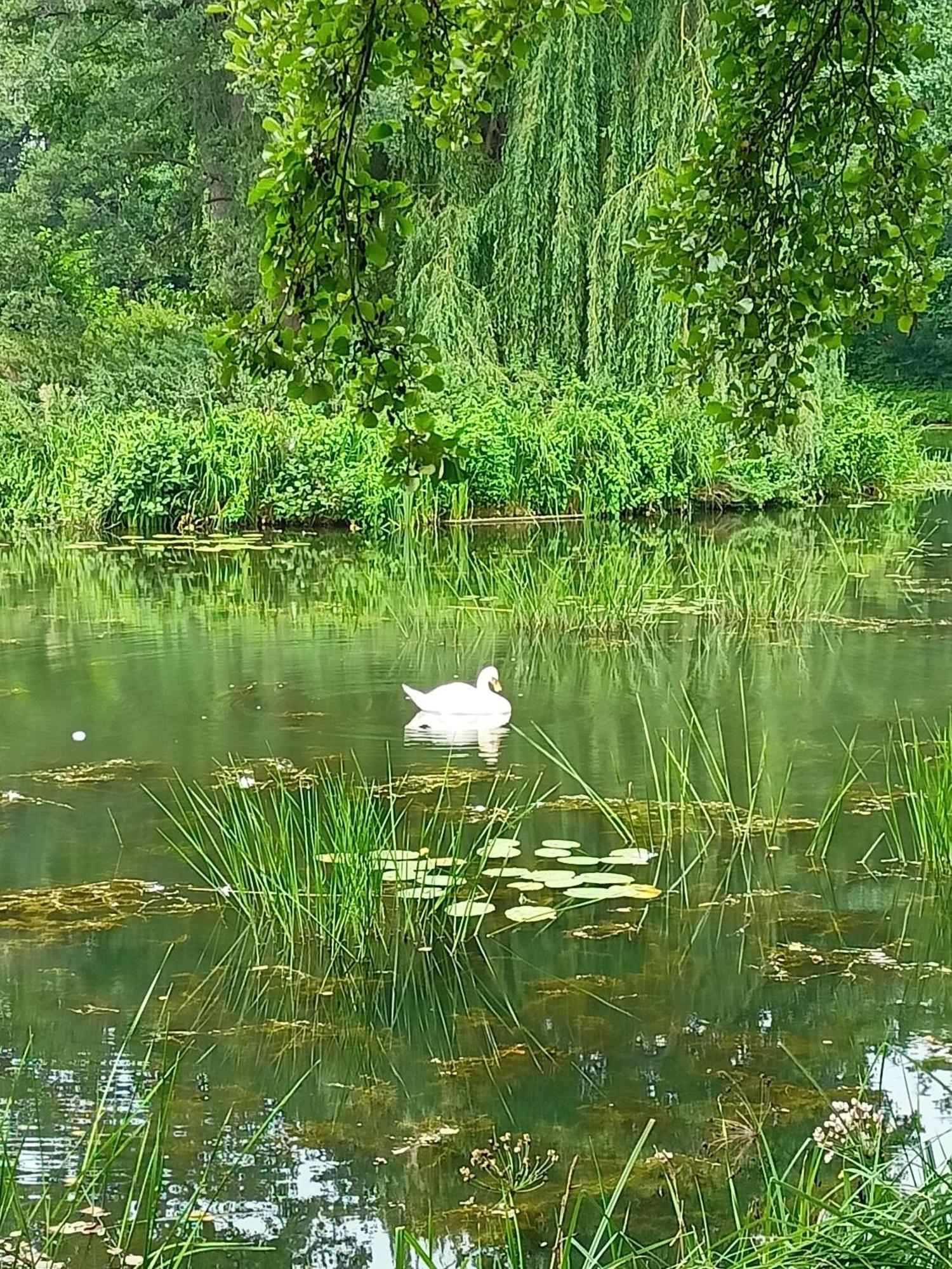 Appartamento ,,Zielona Przystan Nad Morzem" Gdansk - Przymorze Esterno foto